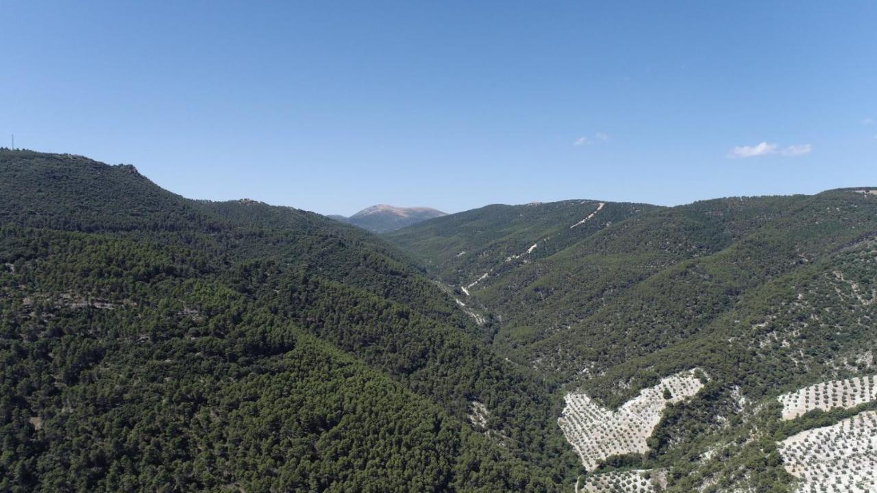 El Convento Vivienda Rural Jaen Andalucia Espana Carchelejo Zewnętrze zdjęcie